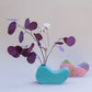 Loto | Vase | Curved Chaos Collection
